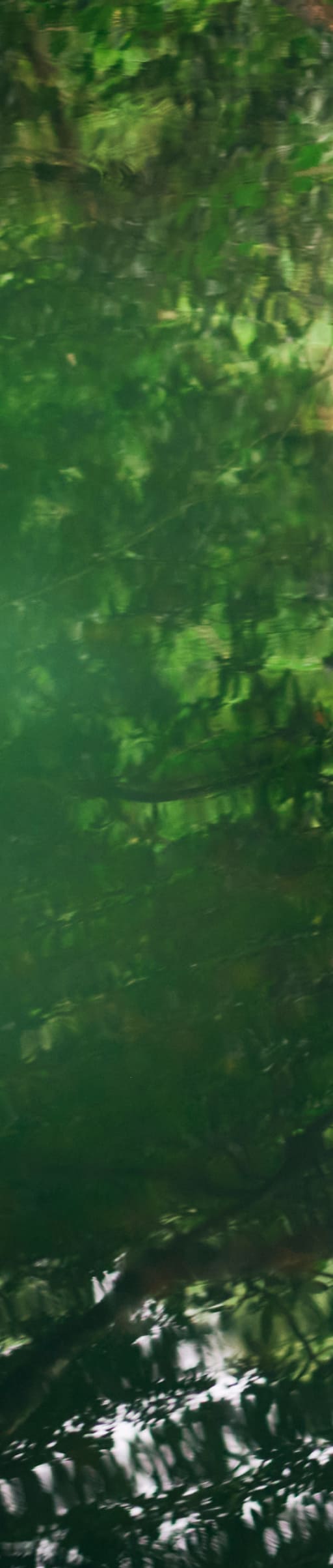 キヨコエイチ MAKE ONLY IN THE WORLD