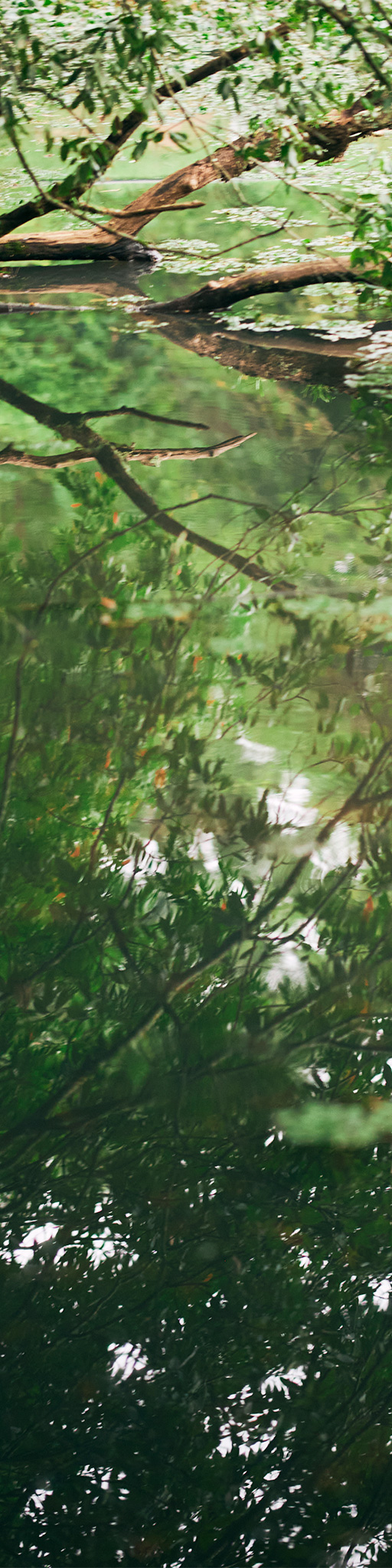 AUTUMN – WINTER 2025