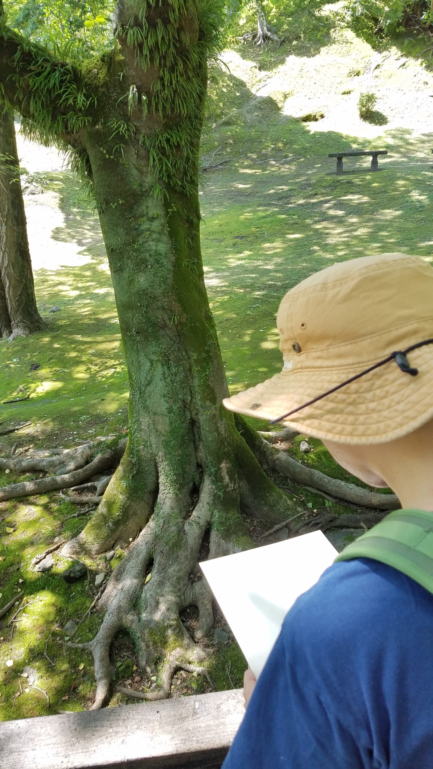 ステートメント