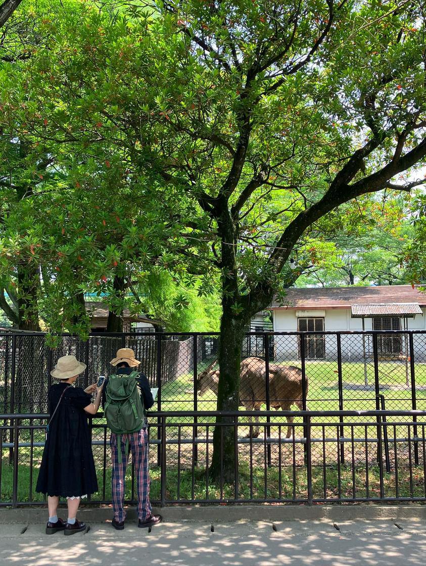 ステートメント